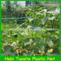 Hdpe Vineyard plant support netting